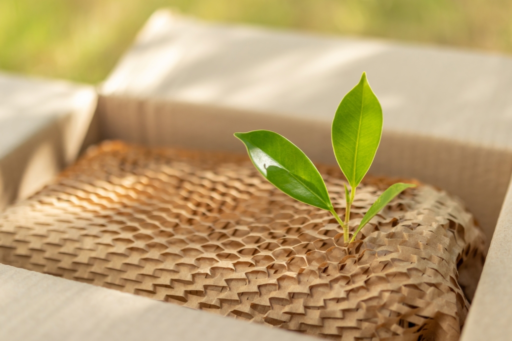 Nachhaltige Verpackungen im Trend: Drei grüne Blätter ragen aus einem Pappkarton, der mit umweltfreunlichen Papiermaterial gefüllt ist.